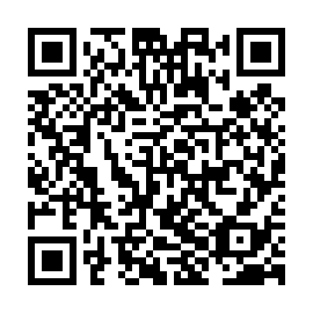 QR code for plate NHG 438