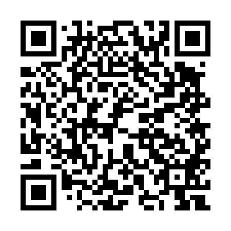 QR code for plate NHG 488
