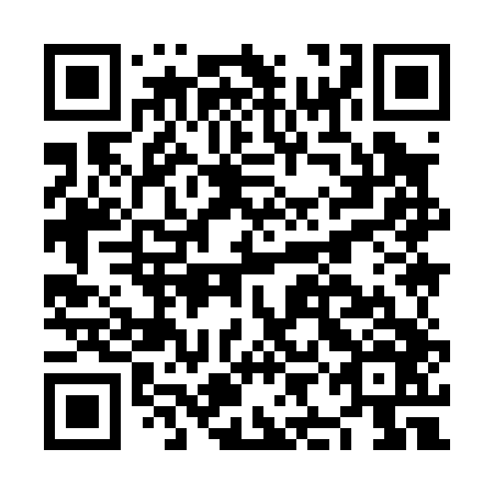 QR code for plate NII 046