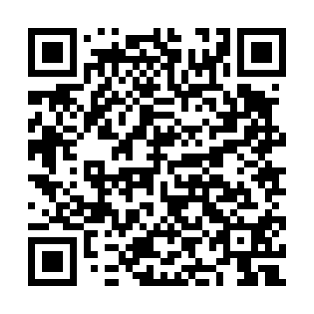 QR code for plate NIJ 410