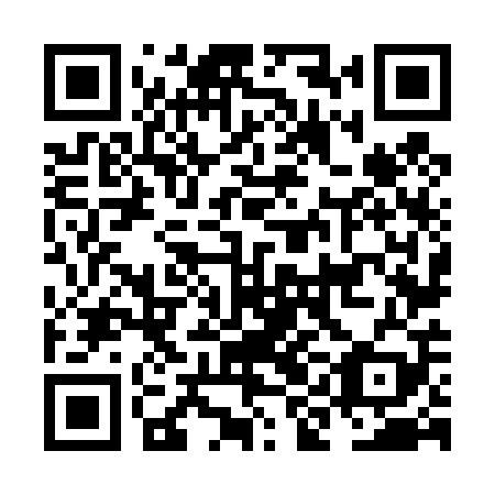QR code for NIN409