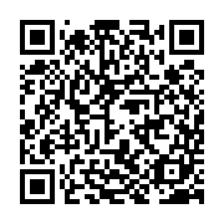 QR code for NIQ 541