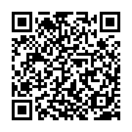 QR code for plate NIR 911