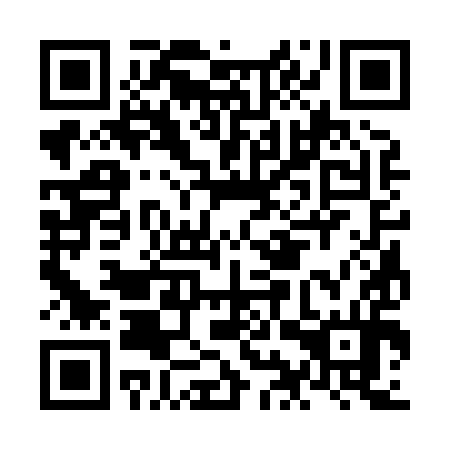 QR code for NIS 894