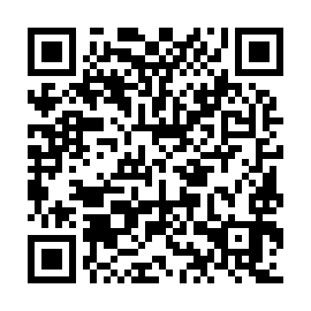 QR code for NIU 993