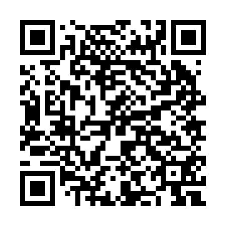QR code for NIZ 250