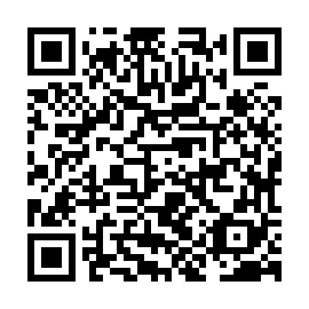 QR code for NIZ 868