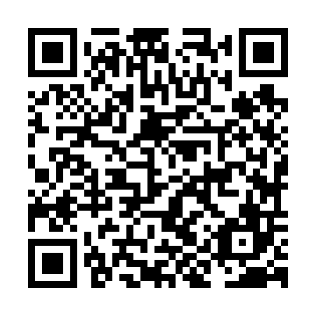 QR code for plate NIZ 606