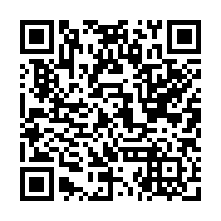QR code for NJL 382