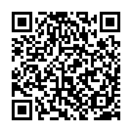 QR code for plate NKB 390