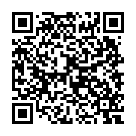 QR code for plate NKN 617