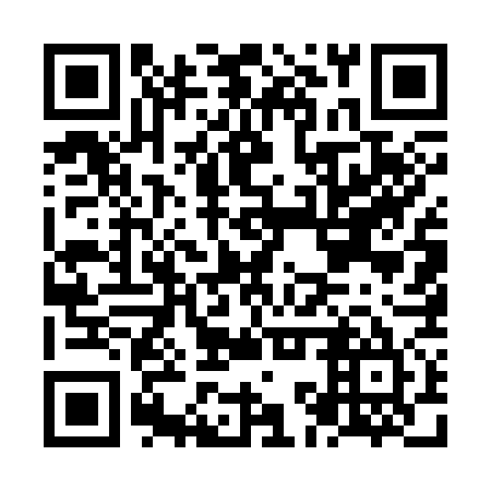 QR code for NKU 375