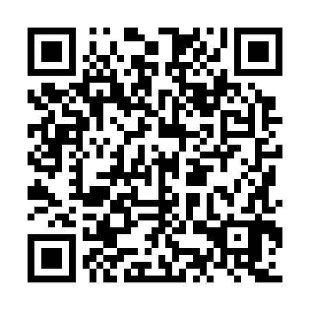 QR code for NKX 382