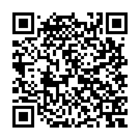 QR code for plate NLJ 173