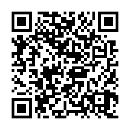 QR code for plate NLN 728
