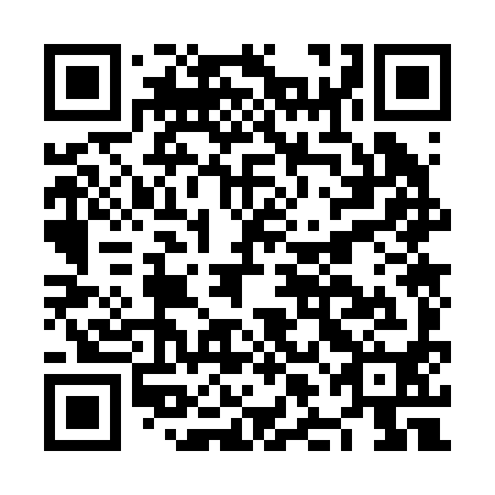 QR code for NLO 290