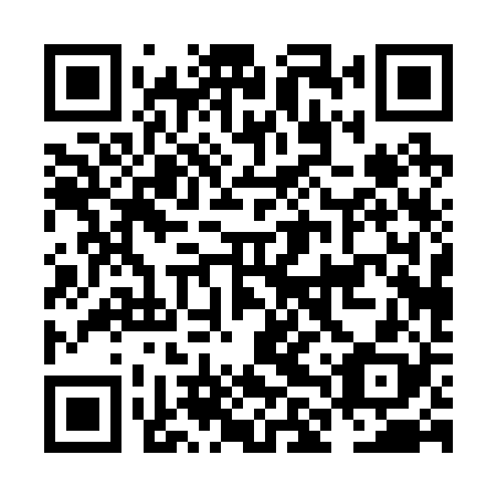 QR code for NLP 228