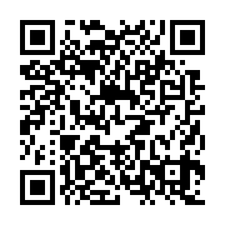QR code for NLR 739