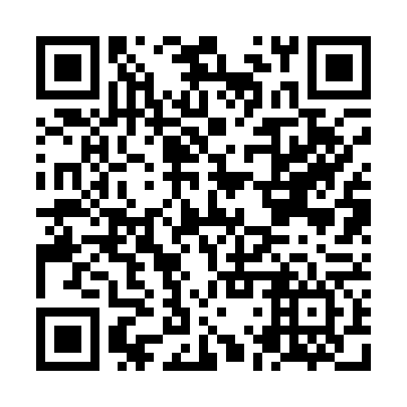 QR code for plate NLR 166