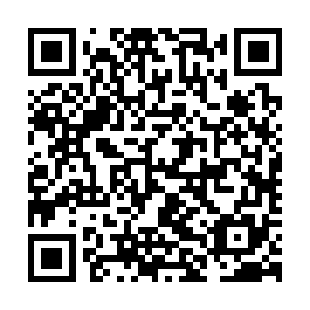 QR code for plate NLR 375