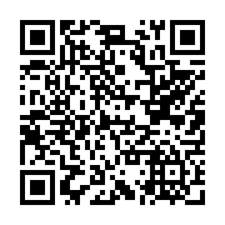 QR code for plate NLT 665