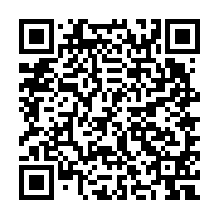 QR code for plate NLU 690