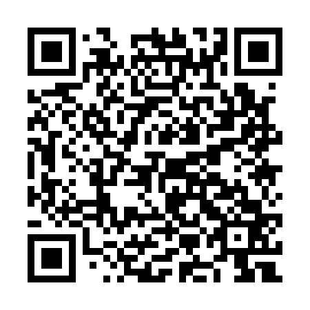 QR code for NMA 163