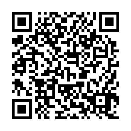 QR code for NMP 306