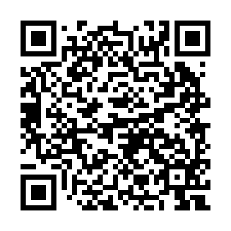 QR code for NMP296