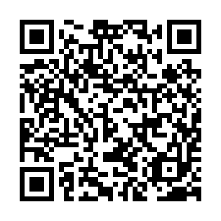 QR code for NMQ 293