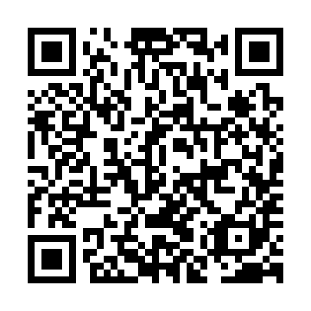 QR code for NMS 381