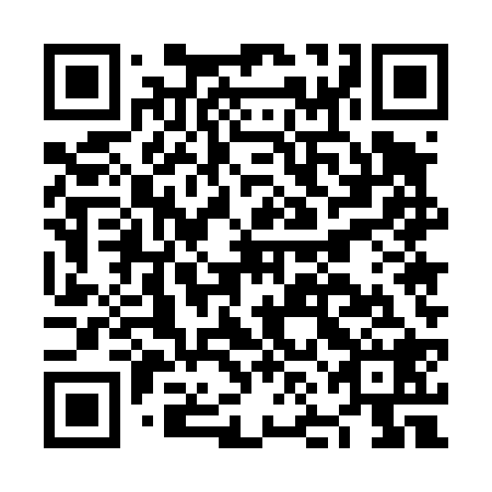 QR code for plate NNE 428