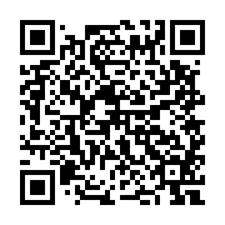 QR code for plate NNG 584