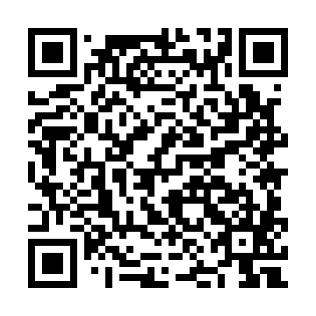QR code for plate NNM 185