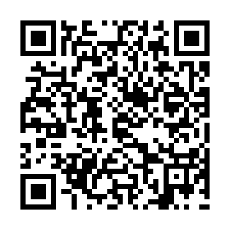 QR code for NNN 317