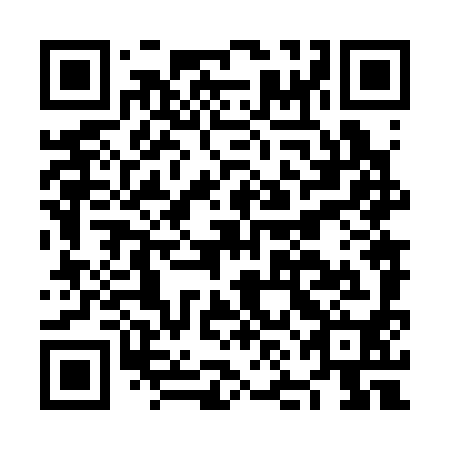 QR code for plate NNN 390