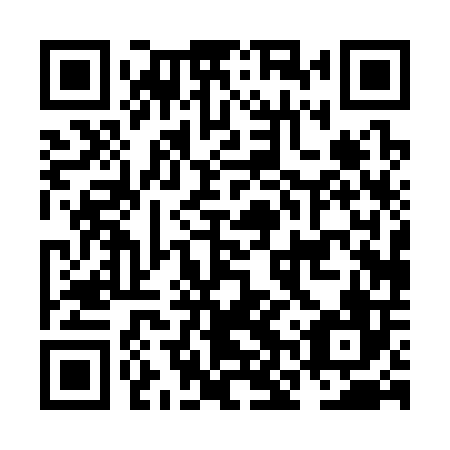 QR code for NNP 306
