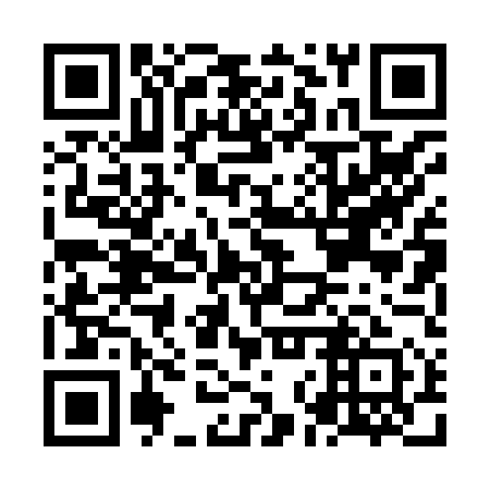 QR code for plate NNP 851