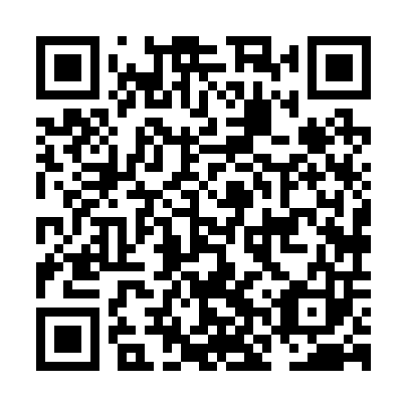 QR code for plate NNX 203