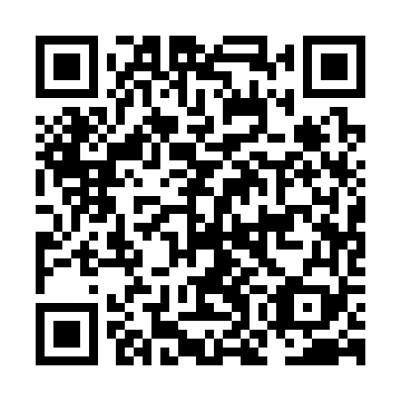 QR code for NOA369