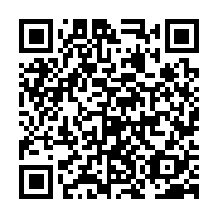 QR code for plate NON 328