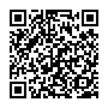 QR code for plate NON 658