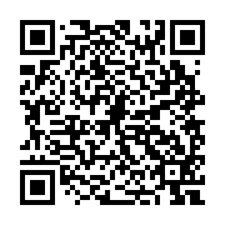 QR code for plate NOR 393