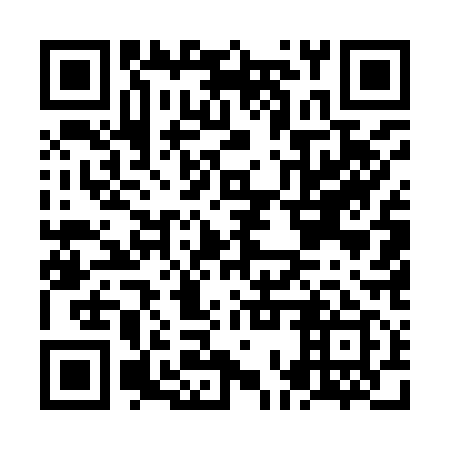 QR code for NOU919