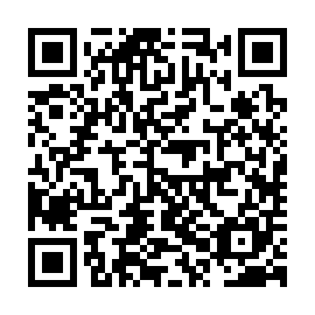 QR code for plate NPB 305