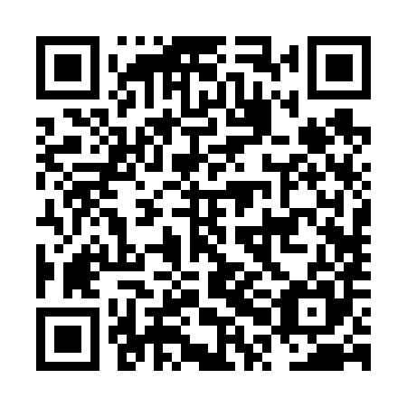 QR code for plate NPB 685