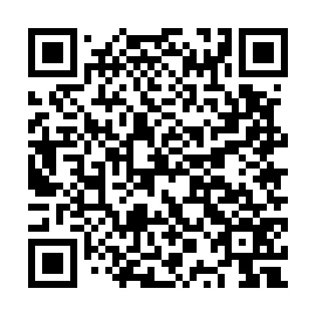 QR code for plate NPE 576