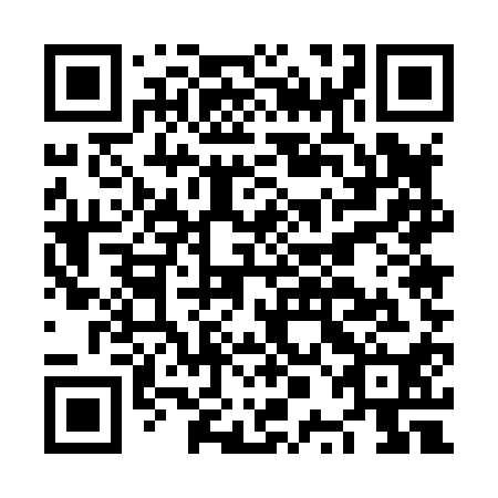 QR code for plate NPE 810