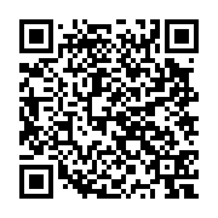 QR code for plate NPJ 031