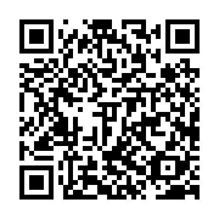 QR code for NPP 228